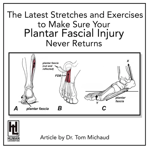 The Latest Stretches and Exercises to Make Sure Your Plantar Fascial ...