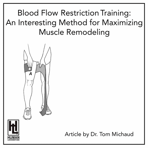 Blood Flow Restriction Training: An Interesting Method for Maximizing Muscle Remodeling