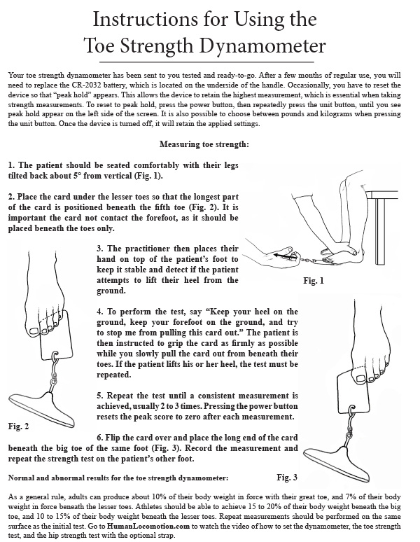 The Toe/Hip Strength Dynamometer - Human Locomotion