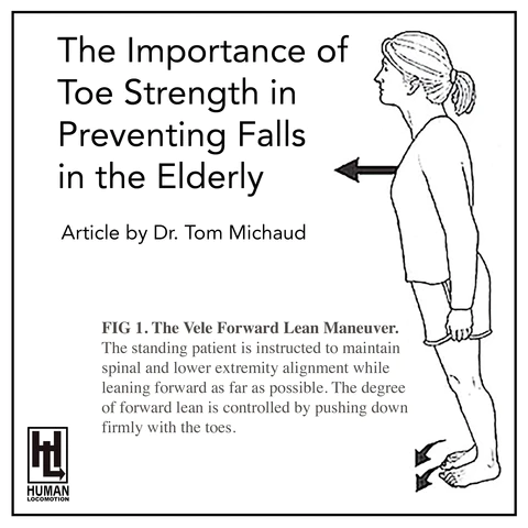 The Importance of Toe Strength in Preventing Falls in the Elderly