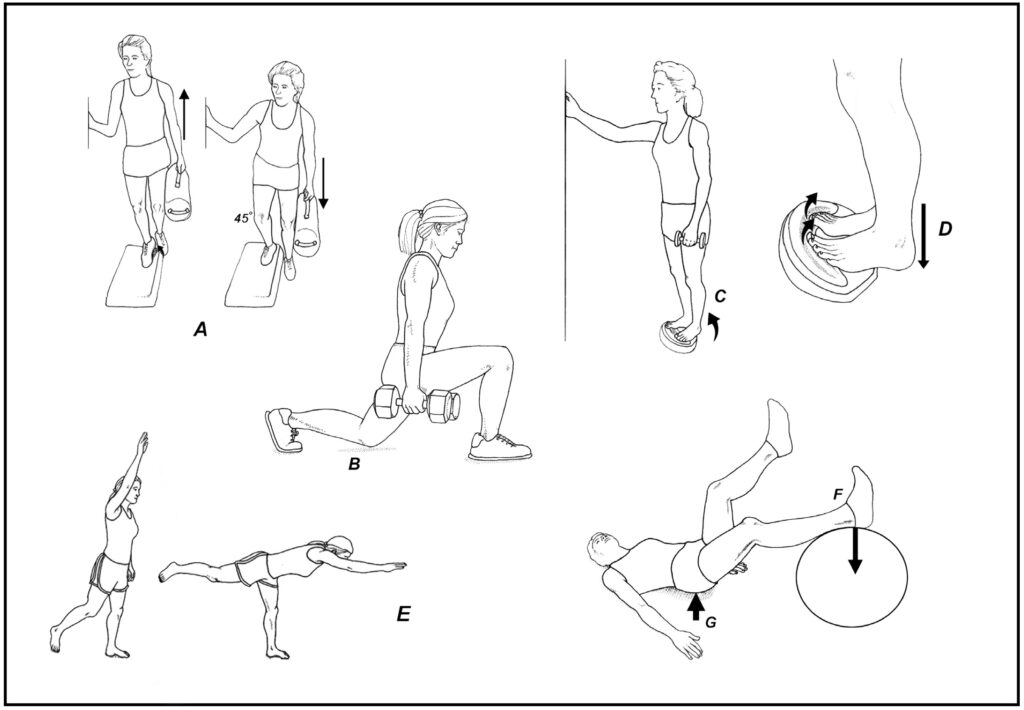 The image shows 6 exercises to improve tendon resiliency
