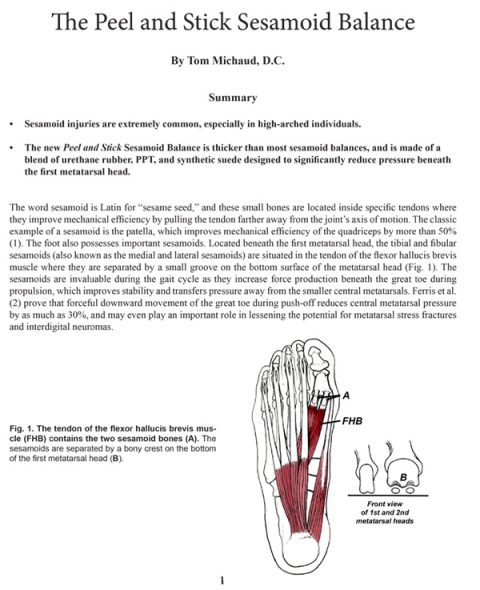 PEEL and STICK BALANCES: Sesamoid Balance - Human Locomotion