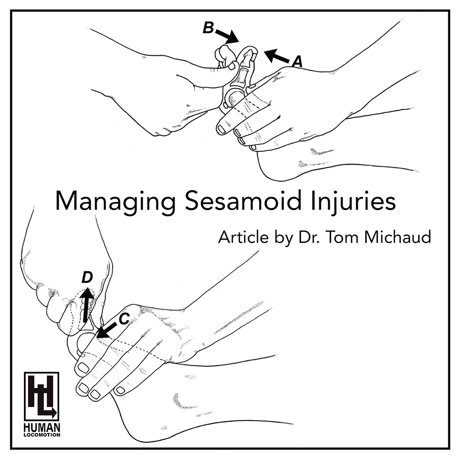 Managing Sesamoid Injuries - Human Locomotion