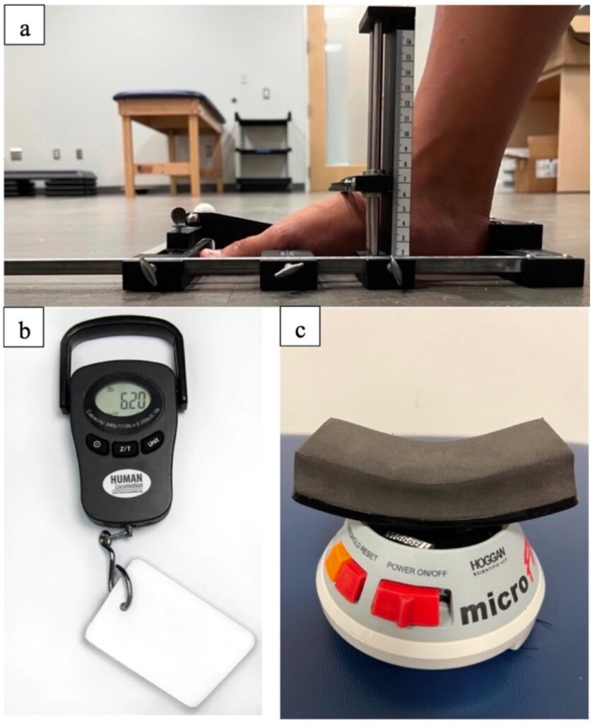 Dynamometer exercise online