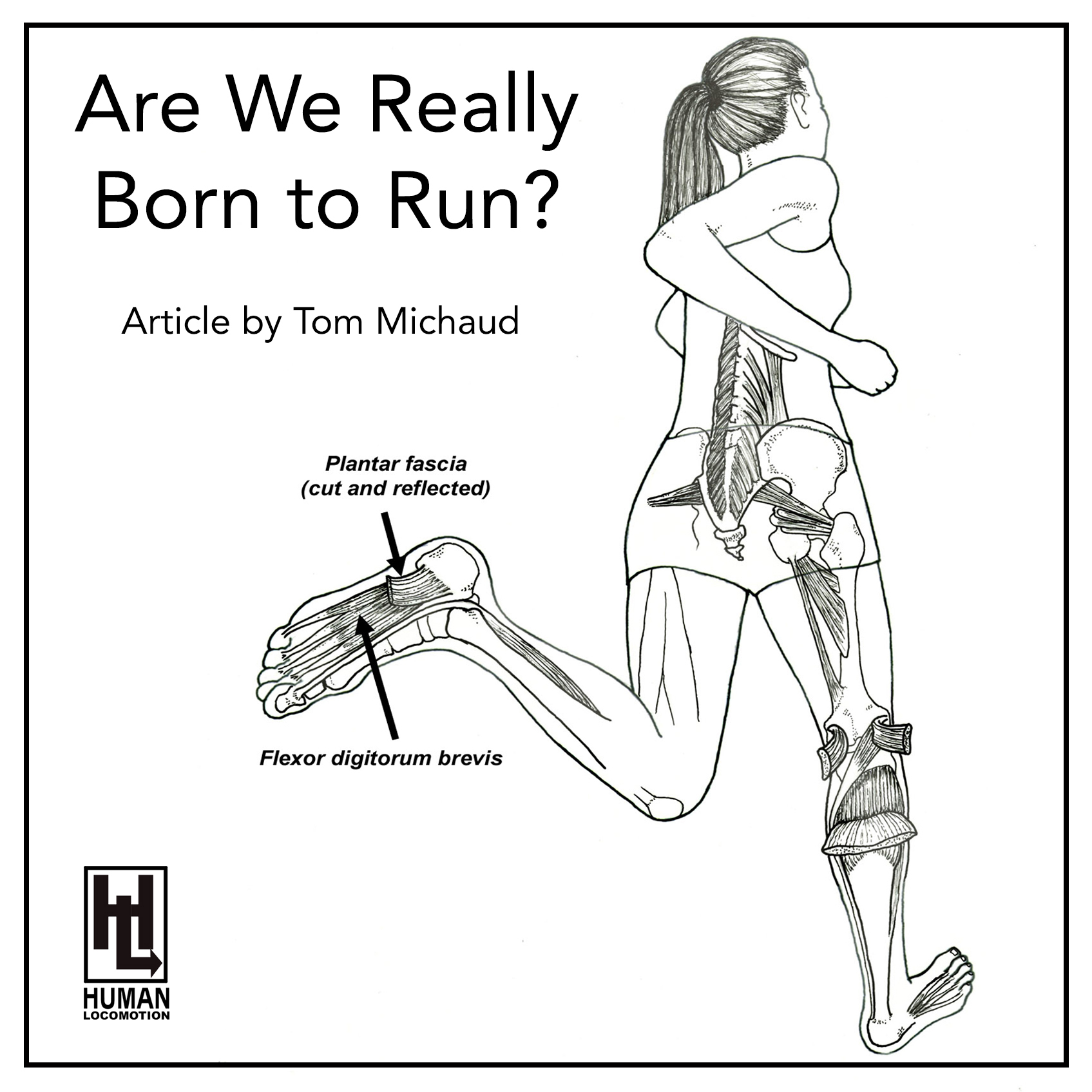 Are We Really Born To Run? There is evidence that debunks the popular running theory.