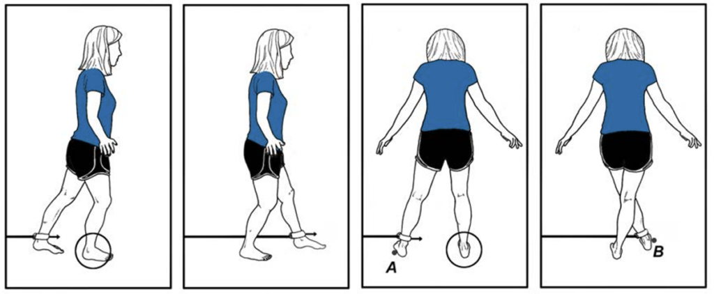 The Human Locomotion Fall Prevention Protocol - How to Create a Customized  Treatment Program to Maintain Strength and Agility as You Age - Human  Locomotion