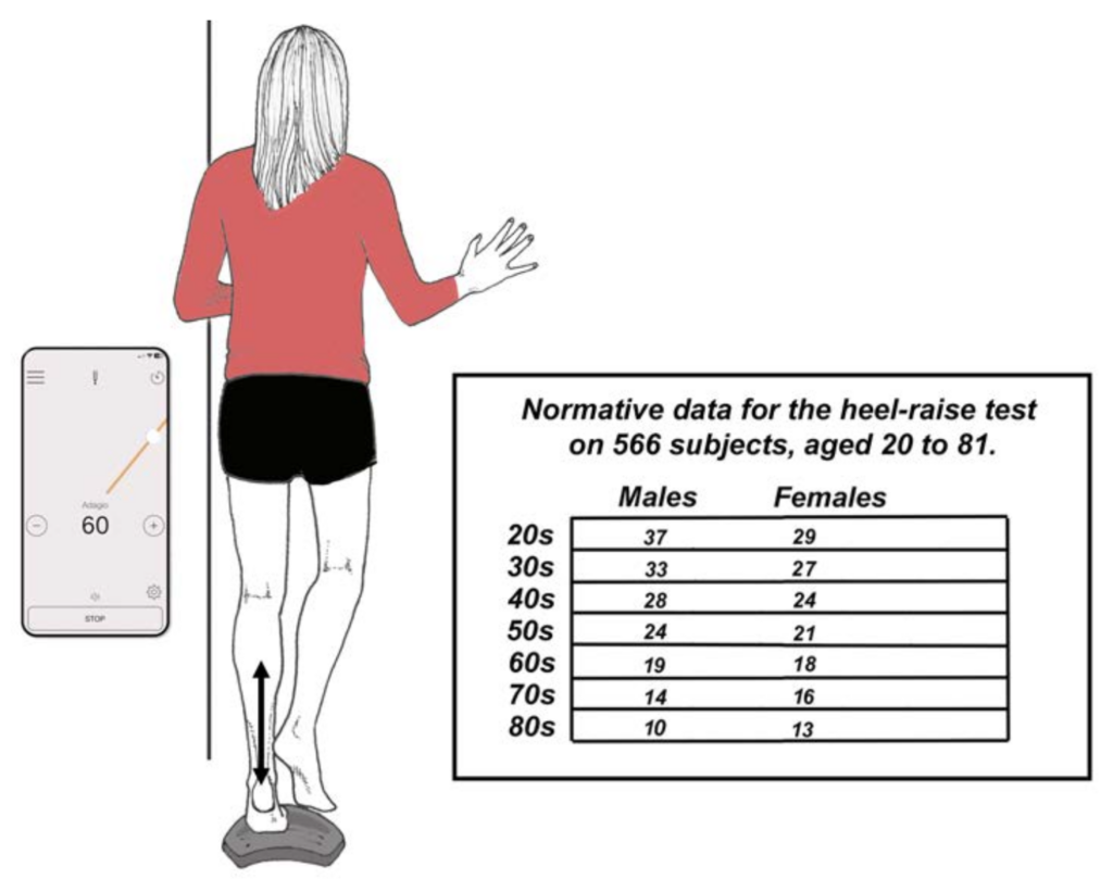 The Human Locomotion Fall Prevention Protocol - How to Create a Customized  Treatment Program to Maintain Strength and Agility as You Age - Human  Locomotion